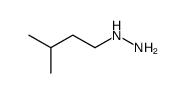 (3-methylbutyl)hydrazine Structure