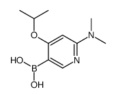 [6-(dimethylamino)-4-propan-2-yloxypyridin-3-yl]boronic acid Structure