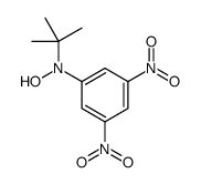 N-tert-butyl-N-(3,5-dinitrophenyl)hydroxylamine Structure