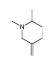 Piperidine, 1,2-dimethyl-5-methylene- (9CI)结构式
