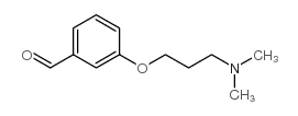 3-[3-(二甲基氨基)丙氧基]苯甲醛结构式
