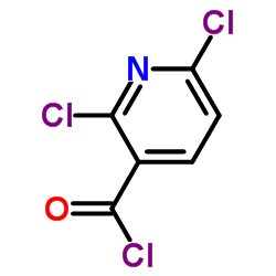 2,6-二氯吡啶-3-羰酰氯结构式