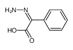 Benzeneacetic acid, alpha-hydrazono- (9CI) picture