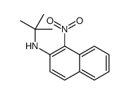 N-tert-butyl-1-nitronaphthalen-2-amine结构式
