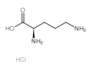D-鸟氨酸盐酸盐图片