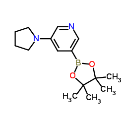 3-(1-吡咯烷)-5-(4,4,5,5-四甲基-1,3,2-二噁硼烷-2-基)-吡啶结构式