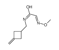 (2E)-2-methoxyimino-N-[(3-methylidenecyclobutyl)methyl]acetamide Structure