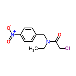 2-Chloro-N-ethyl-N-(4-nitrobenzyl)acetamide Structure