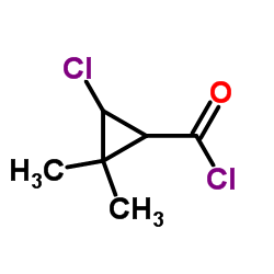 Cyclopropanecarbonyl chloride, 3-chloro-2,2-dimethyl- (9CI)结构式