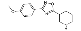 3-(3-(4-甲氧基苯基)-1,2,4-噁二唑-5-基)哌啶结构式