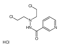 N',N'-bis(2-chloroethyl)pyridine-3-carbohydrazide,hydrochloride Structure