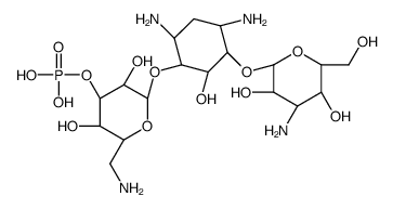 kanamycin A 3'-phosphate Structure