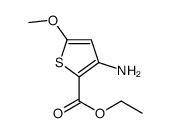 ethyl 3-amino-5-methoxythiophene-2-carboxylate Structure