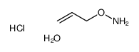 O-烯丙基羟胺 盐酸盐 水合物结构式