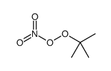 (2-methylpropan-2-yl)oxy nitrate Structure