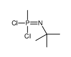tert-butylimino-dichloro-methyl-λ5-phosphane结构式