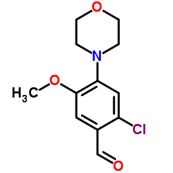 2-CHLORO-5-METHOXY-4-MORPHOLIN-4-YL-BENZALDEHYDE Structure