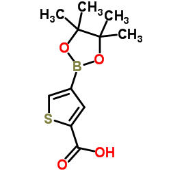 4-(4,4,5,5-四甲基-1,3,2-二氧硼杂环戊烷-2-基)噻吩-2-羧酸结构式