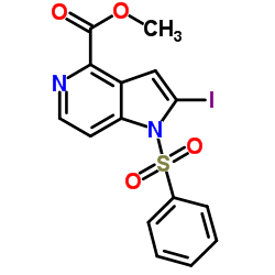 Methyl 2-iodo-1-(phenylsulfonyl)-1H-pyrrolo[3,2-c]pyridine-4-carboxylate picture