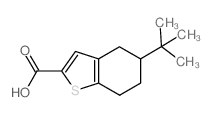 5-叔丁基-4,5,6,7-四氢-1-苯并噻吩-2-羧酸结构式
