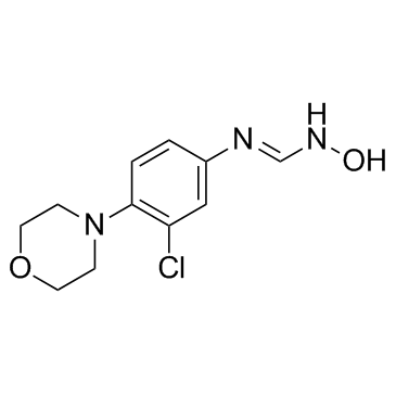 N-(3-氯-4-吗啉代苯基)-N'-羟基甲脒图片
