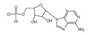 (2R,3R,4S,5R)-2-(6-aminopurin-9-yl)-5-(dichlorophosphoryloxymethyl)oxolane-3,4-diol结构式