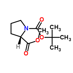 (S)-1-叔-丁基-2-甲基吡咯烷-1,2-二羧酸结构式