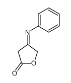 4-hydroxy-3-phenylimino-butyric acid-lactone Structure
