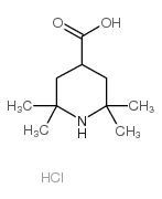 2,2,6,6-Tetramethylpiperidine-4-carboxylicacid Structure