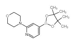 4-(4-(4,4,5,5-四甲基-1,3,2-二氧硼杂环戊烷-2-基)吡啶-2-基)吗啉结构式