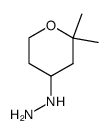 (2,2-dimethyltetrahydro-2H-pyran-4-yl)hydrazine Structure