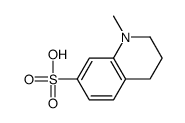 1-methyl-3,4-dihydro-2H-quinoline-7-sulfonic acid Structure