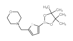 4-((5-(4,4,5,5-TETRAMETHYL-1,3,2-DIOXABOROLAN-2-YL)THIOPHEN-2-YL)METHYL)MORPHOLINE structure