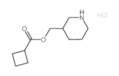 3-Piperidinylmethyl cyclobutanecarboxylate hydrochloride Structure