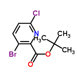 3-溴-6-氯吡啶甲酸叔丁酯结构式