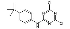 N-(4-tert-butylphenyl)-4,6-dichloro-1,3,5-triazin-2-amine Structure