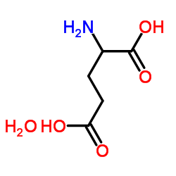 H-DL-Glu-OH·H2O structure