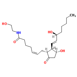 前列腺素E2乙醇酰胺结构式