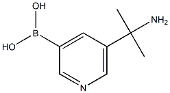 (5-(2-氨基丙-2-基)吡啶-3-基)硼酸结构式
