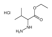 ethyl 2-hydrazinyl-3-methylbutanoate,hydrochloride Structure