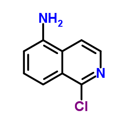 1-Chloro-5-isoquinolinamine Structure