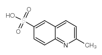 2-Methylquinoline-6-sulfonic acid Structure