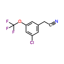 3-Chloro-5-(trifluoromethoxy)benzyl cyanide Structure