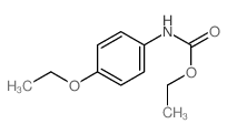 N-(4-乙氧基苯基)氨基甲酸乙酯结构式