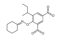 Cyclohexanone O-(2-sec-butyl-4,6-dinitro-phenyl)-oxime结构式