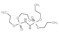 1,2-bis(dipropoxyphosphoryl)hydrazine结构式
