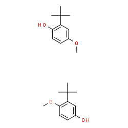 4-methoxy-3-tert-butyl-phenol结构式