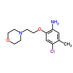 4-Chloro-5-methyl-2-[2-(4-morpholinyl)ethoxy]aniline结构式