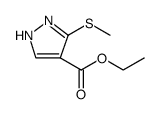 ethyl 3-methylthio-1H pyrazole-4-carboxylate结构式
