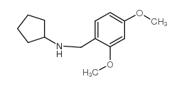 环戊基-(2,4-二甲氧基-苄基)-胺结构式